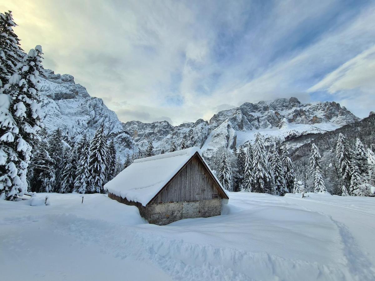Chalet Camporosso Camporosso  Eksteriør bilde