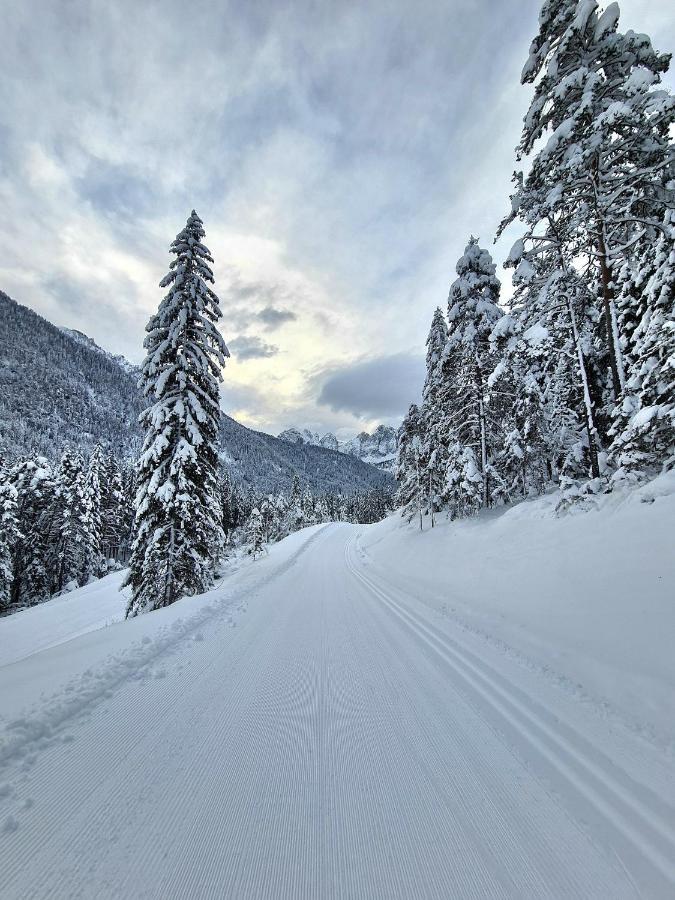 Chalet Camporosso Camporosso  Eksteriør bilde
